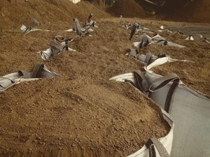 Beneficios de la tierra vegetal