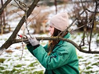 Cómo preparar tu jardín para el invierno con Excavaciones y Derribos Ares