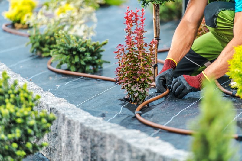 Empresas de jardineria en a coruña