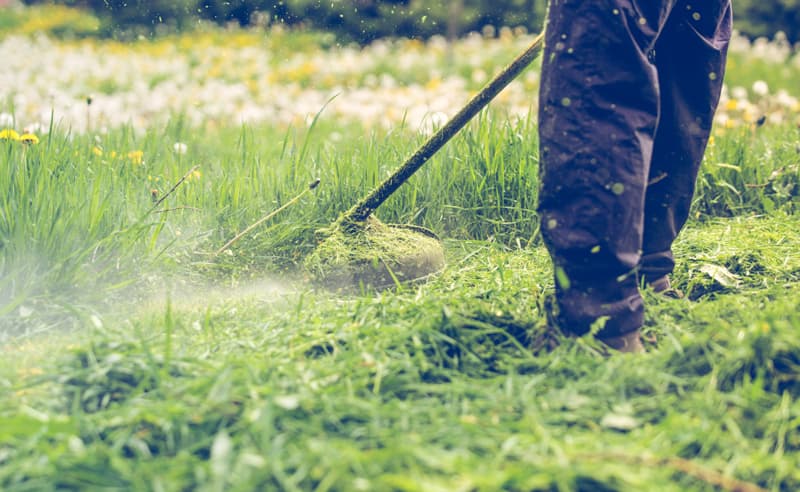 Mantenimiento de jardines en A Coruña