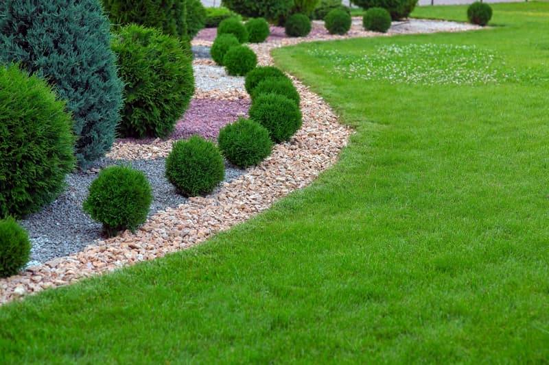 Servicio de jardineria en A Coruña