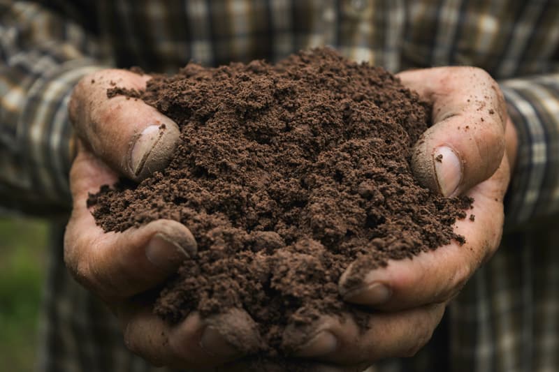 Comprar tierra para huerto en Coruña